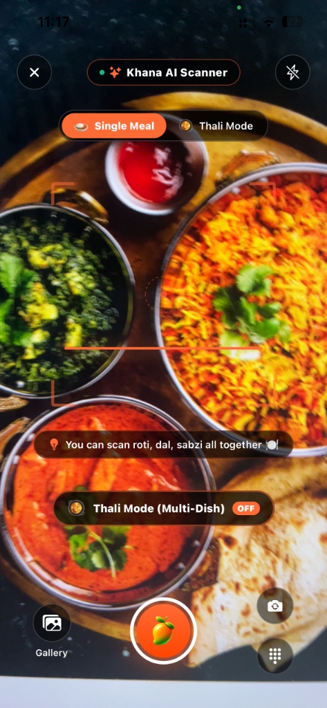 Khana AI Camera Scan Screen